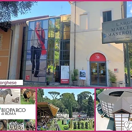 Bed and breakfast La Design.ata Experience Roma